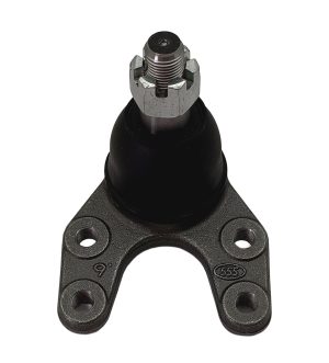 Rotula Inferior Derecho E Izquierdo Marca 555