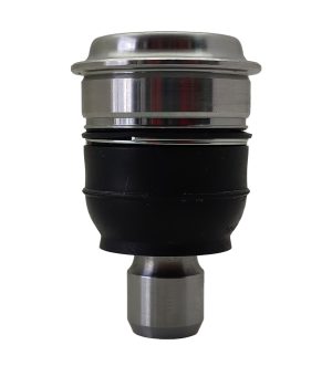 Rotula Inferior Derecha E Izquierda Marca 555