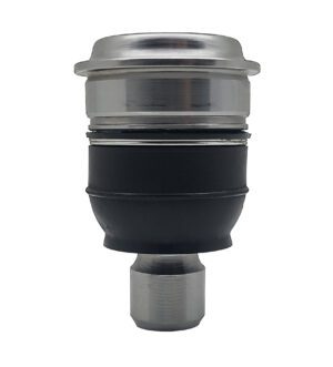 Rotula Inferior Derecha E Izquierda Marca 555