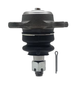 Rotula Superior  Derecha E Izquierda Marca Jozama