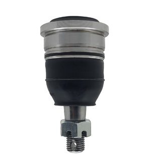 Rotula Inferior Derecha E Izquierda Marca 555