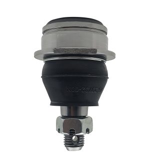 Rotula Inferior Derecha E Izquierda Marca 555