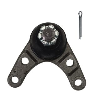 Rotula Inferior Derecha e Izquierda Marca 555