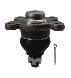 Rotula Inferior Derecha e Izquierda Marca 555