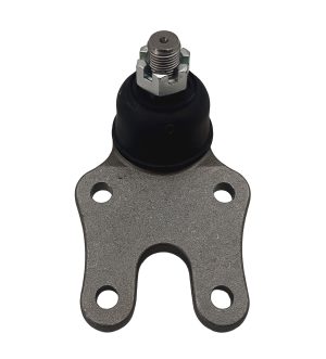 Rotula Inferior Derecha e Izquierda Marca 555