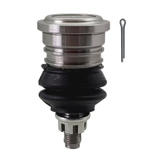 Rotula Superior Derecha e Izquierda Marca 555