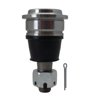 Rotula Superior Derecha e Izquierda Marca 555