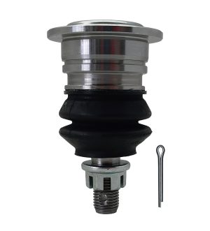 Rotula Superior Derecha e Izquierda Marca 555