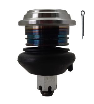 Rotula Inferior Derecha e Izquierda Marca 555