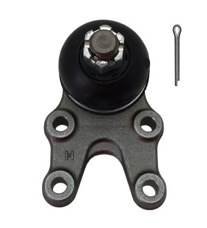 Rotula Inferior Derecha Marca 555