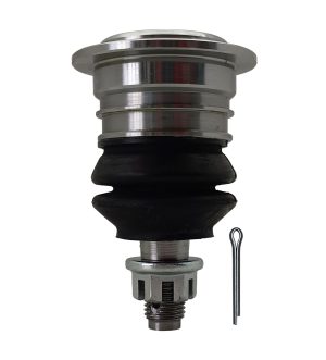 Rotula Inferior Derecha e Izquierda Marca 555