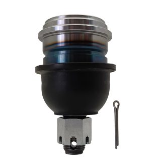 Rotula Inferior Derecha e Izquierda Marca 555