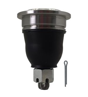 Rotula Superior Derecha e Izquierda Marca 555