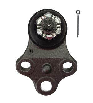 Rotula Inferior Derecha e Izquierda Marca 555