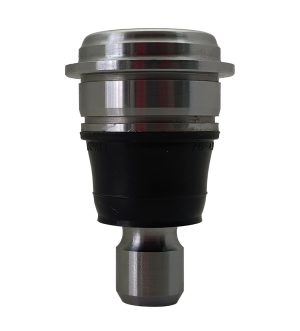 Rotula Inferior Derecha e Izquierda Marca 555