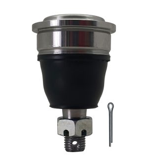 Rotula Superior Derecha e Izquierda Marca 555