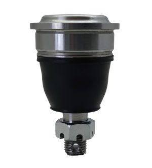 Rotula Superior Derecha e Izquierda Marca 555