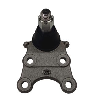 Rotula Inferior Derecha e Izquierda Marca 555