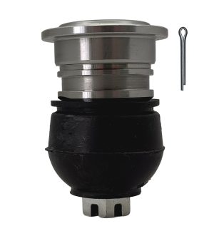 Rotula Superior Derecha e Izquierda Marca 555