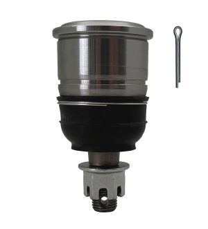 Rotula Inferior Derecha e Izquierda Marca 555