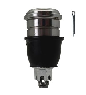 Rotula Inferior Derecha e Izquierda Marca 555