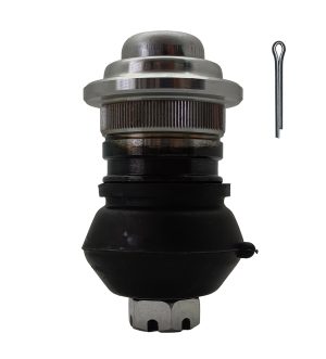 Rotula Superior Derecha e Izquierda Marca 555