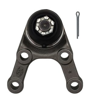 Rotula Inferior Derecha e Izquierda Marca 555