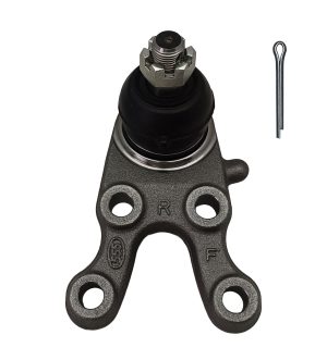 Rotula Inferior Derecha Marca 555