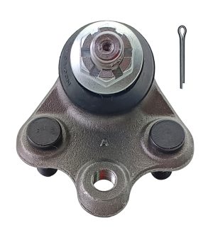 Rotula Inferior Marca 555