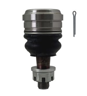 Rotula Superior Derecha e Izquierda Marca 555