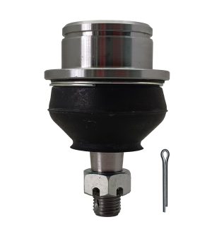 Rotula Superior Derecha e Izquierda Marca 555