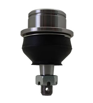 Rotula Superior Derecha e Izquierda Marca 555