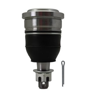 Rotula Delantera Derecha e Izquierda Marca 555