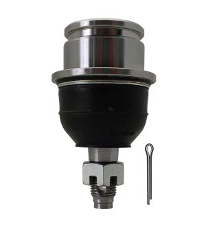 Rotula Inferior Derecha e Izquierda Marca 555