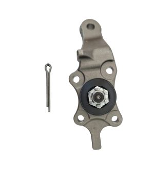 Rotula Inferior Derecha Marca 555