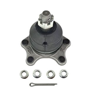 Rotula Superior Derecha e Izquierda Marca 555