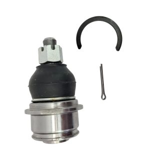 Rotula Superior Derecha e Izquierda Marca 555