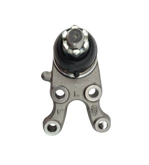 Rotula Inferior Izquierda Marca 555
