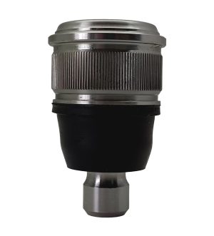 Rotula Inferior Derecha e Izquierda Marca 555