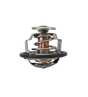 Termostatos 76.5G Marca LWT