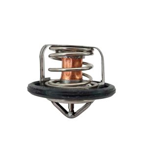 Termostatos 82G Marca LWT