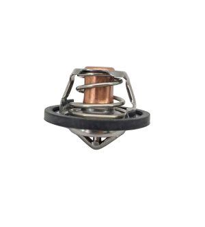 Termostatos 87 Gr Marca LWT