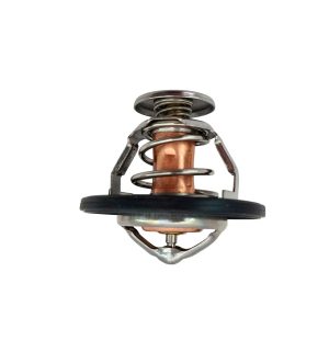 Termostatos 82G Marca LWT