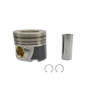 Pistones Motor Diesel 83mm 2-2-3 (C/Pas. C/Pin)Std Marca DONGYANG